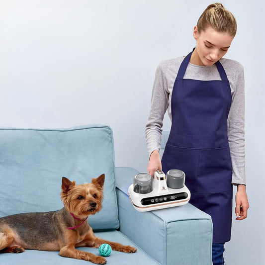 SleepHaven™ – Mattress Vacuum for Hygienic Sleep & Allergen Defense